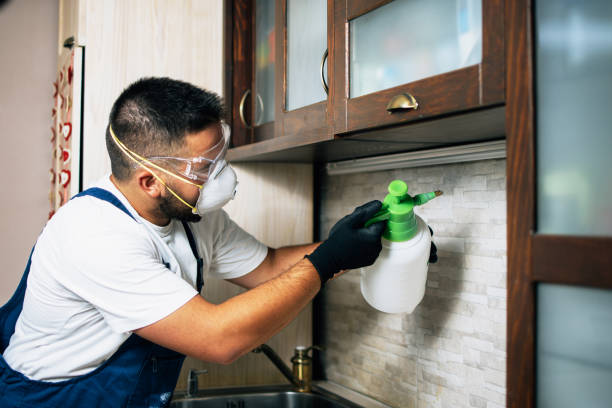 Best Pest Removal Services  in Carrollwood, FL