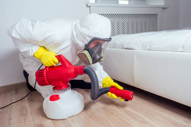 Best Local Pest Control Services  in Carrollwood, FL