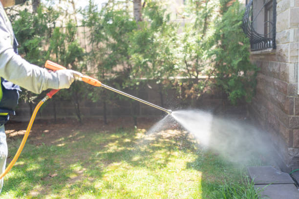 Best Pest Control Near Me in Carrollwood, FL